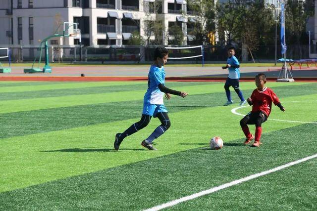 世欧预全面开战!赛制残酷 德法西葡剑指开门红